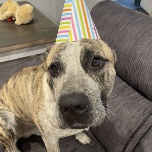 Meet your Posher, Brooklyn